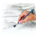 75.webp