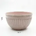100.webp