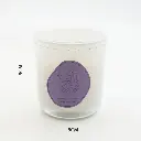 9.webp