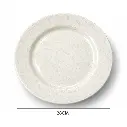 60.webp