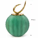 16.webp