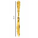 17.webp
