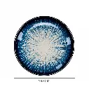 11.webp