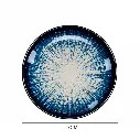 13.webp