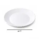 19.webp