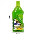16.webp