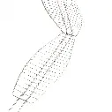 121.webp