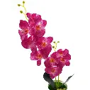 45.webp