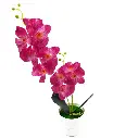 44.webp