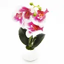 52.webp