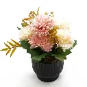 55.webp