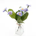 65.webp