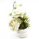 87.webp