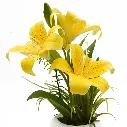 89.webp