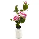 96.webp