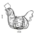 36.webp