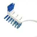 8.webp
