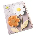 18.webp