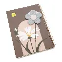17.webp