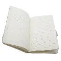 101.webp