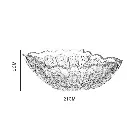 29.webp