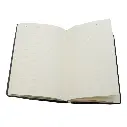 10.webp