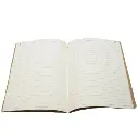 12.webp