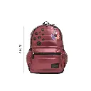 14.webp