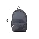 31.webp