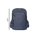 19.webp
