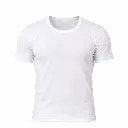8.webp
